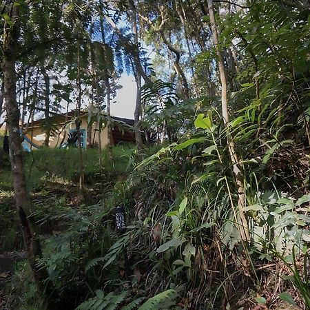 Encanto Minicasitas En Medio De La Naturaleza Санта-Элена Экстерьер фото