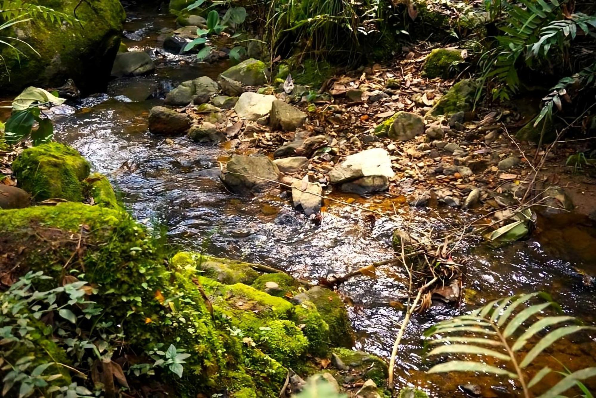 Encanto Minicasitas En Medio De La Naturaleza Санта-Элена Экстерьер фото