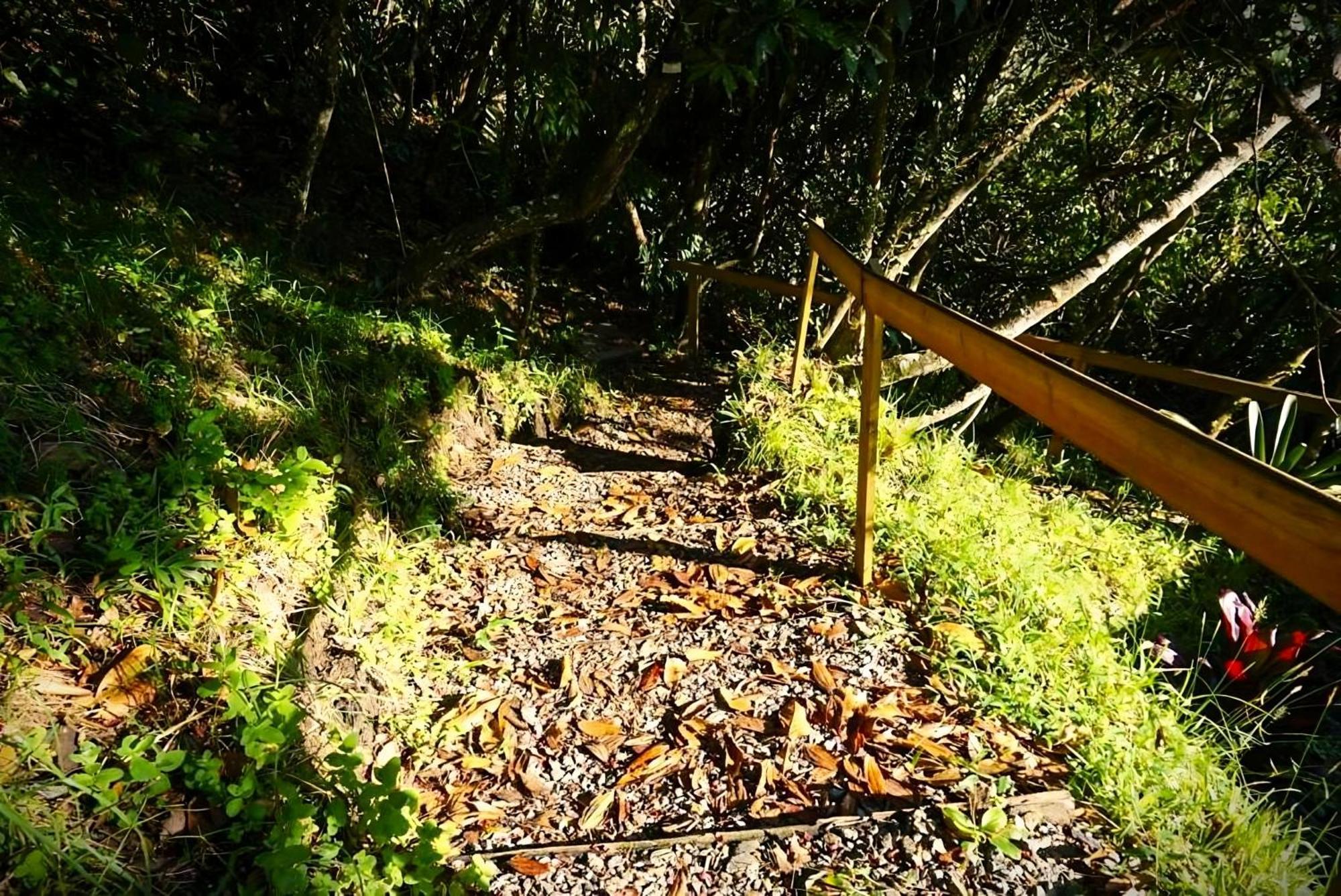 Encanto Minicasitas En Medio De La Naturaleza Санта-Элена Экстерьер фото