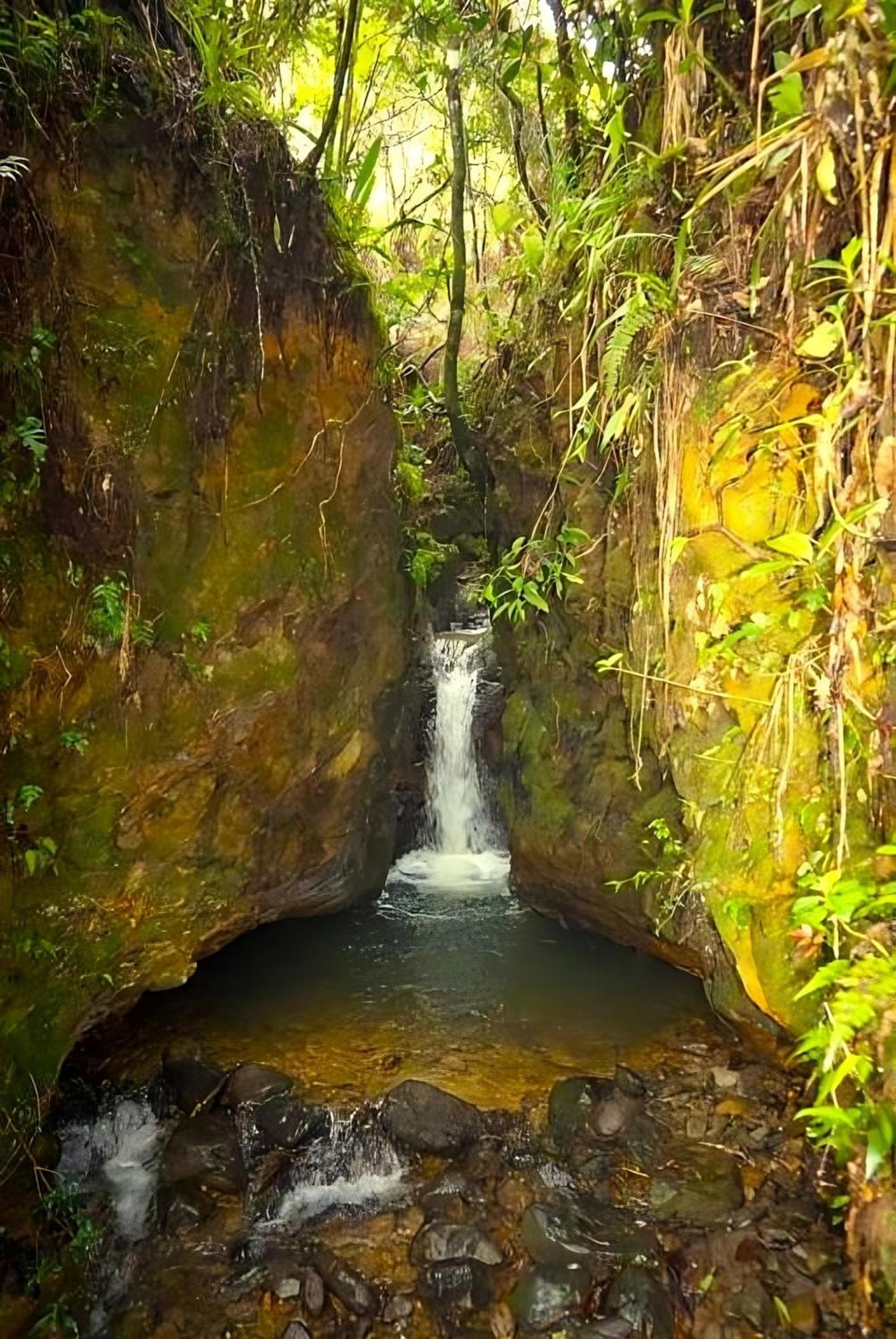 Encanto Minicasitas En Medio De La Naturaleza Санта-Элена Экстерьер фото